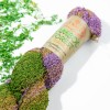 Stenli yarn Bamboo forest